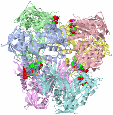 Image Asym./Biol. Unit