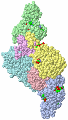 Image Asym./Biol. Unit - sites