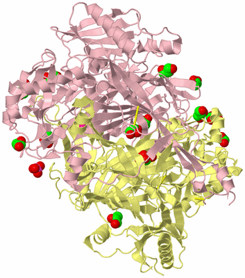 Image Biological Unit 2