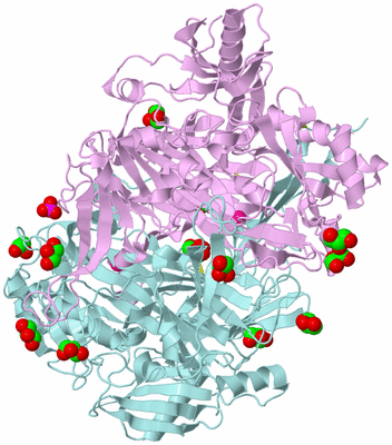 Image Biological Unit 3