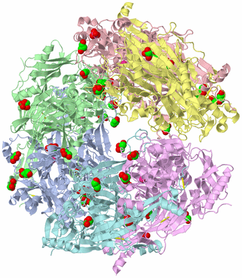 Image Biological Unit 4