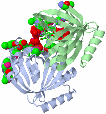 Image Biol. Unit 1 - sites