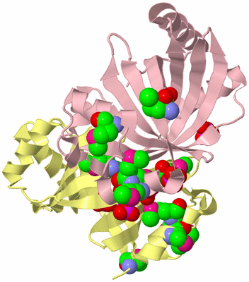 Image Biological Unit 2