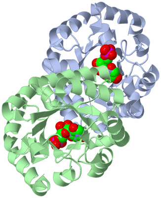 Image Asym./Biol. Unit