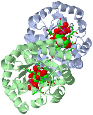 Image Asym./Biol. Unit - sites