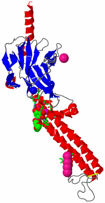 Image Asym. Unit - sites