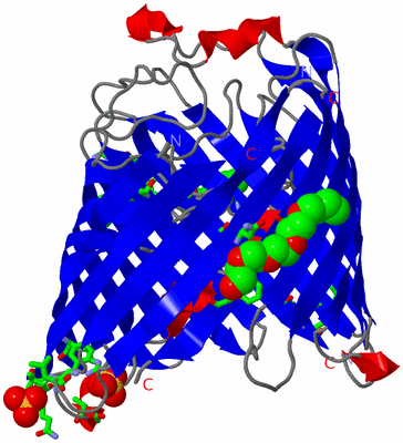 Image Asym. Unit - sites