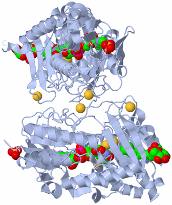 Image Biological Unit 1