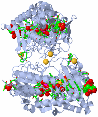 Image Biol. Unit 1 - sites