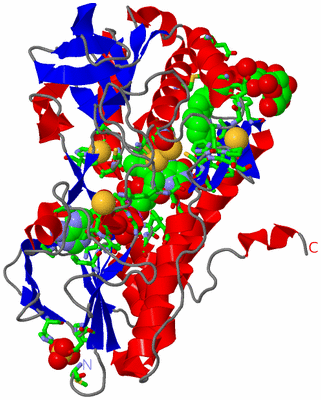 Image Asym. Unit - sites