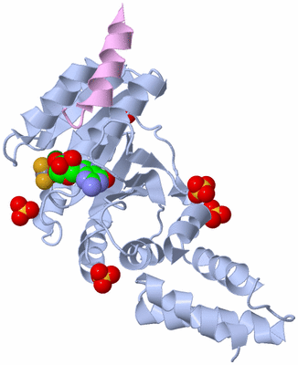 Image Biological Unit 1