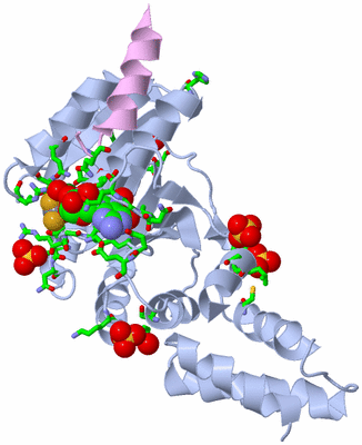 Image Biol. Unit 1 - sites