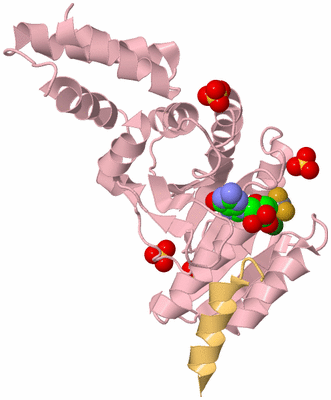 Image Biological Unit 3