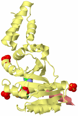 Image Biological Unit 4