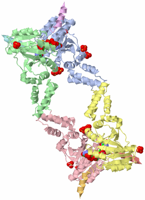 Image Biological Unit 5