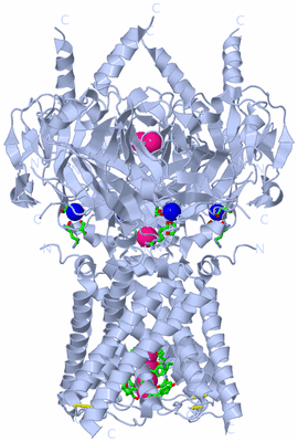 Image Biol. Unit 1 - sites