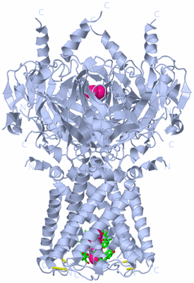 Image Biol. Unit 1 - sites