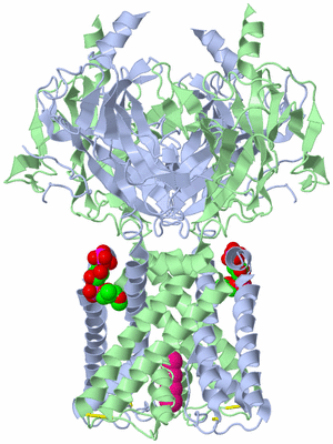 Image Biological Unit 1