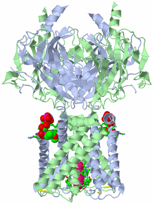 Image Biol. Unit 1 - sites