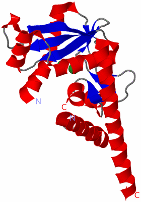 Image Asymmetric Unit