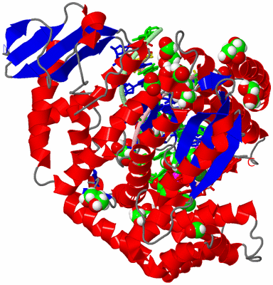 Image Asym./Biol. Unit