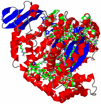 Image Asym./Biol. Unit - sites