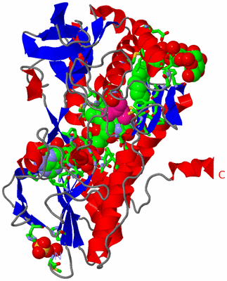 Image Asym. Unit - sites