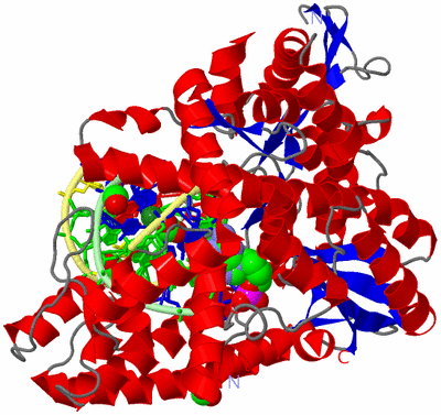 Image Asym./Biol. Unit