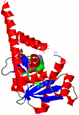 Image Asym. Unit - sites