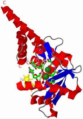 Image Asym. Unit - sites