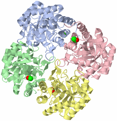 Image Asym./Biol. Unit