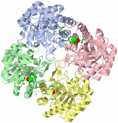 Image Asym./Biol. Unit - sites