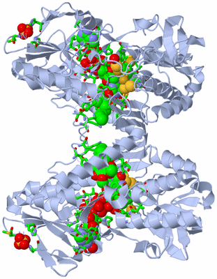 Image Biol. Unit 1 - sites