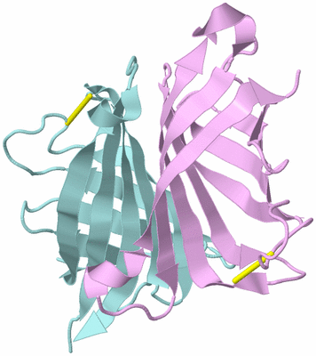 Image Biological Unit 3