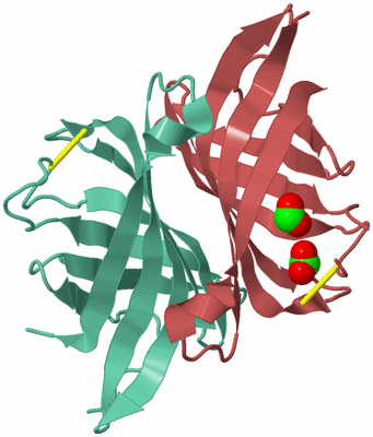 Image Biological Unit 6