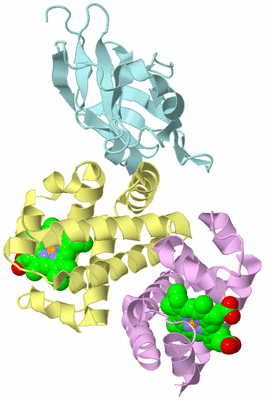 Image Biological Unit 1