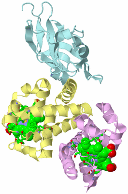 Image Biol. Unit 1 - sites