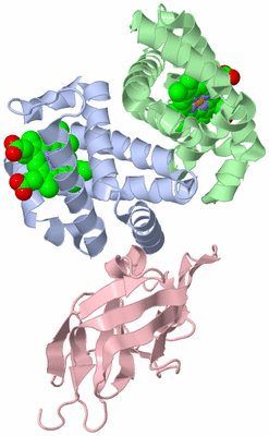 Image Biological Unit 2