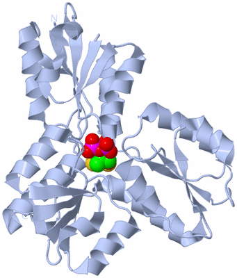 Image Biological Unit 1