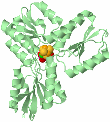 Image Biological Unit 2