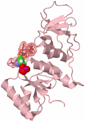 Image Biological Unit 3