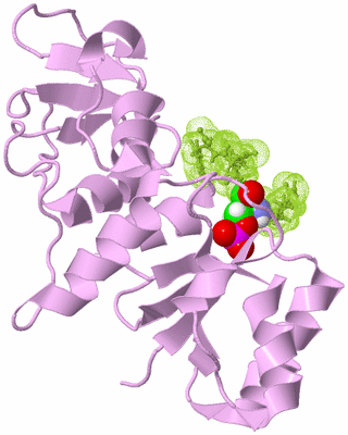 Image Biological Unit 5