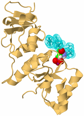 Image Biological Unit 7