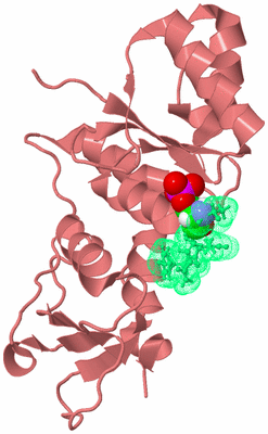 Image Biological Unit 8