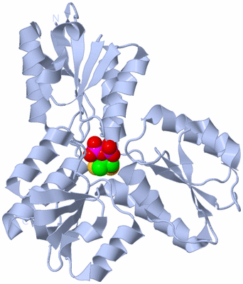 Image Biological Unit 1