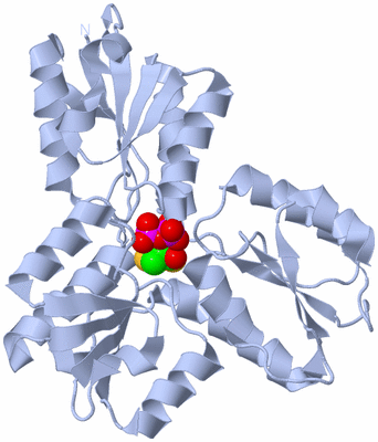 Image Biological Unit 1