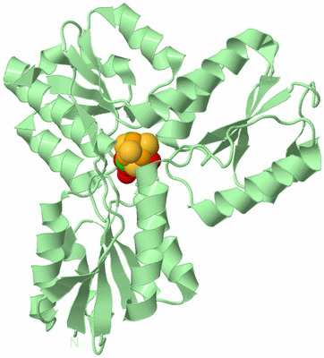 Image Biological Unit 2