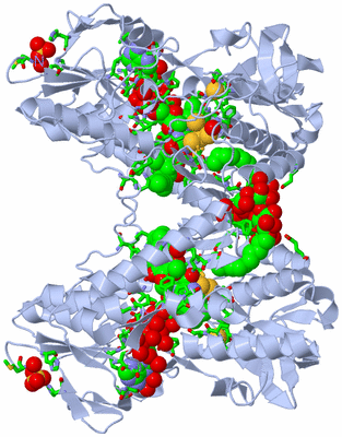 Image Biol. Unit 1 - sites