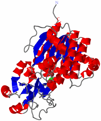 Image Asym./Biol. Unit