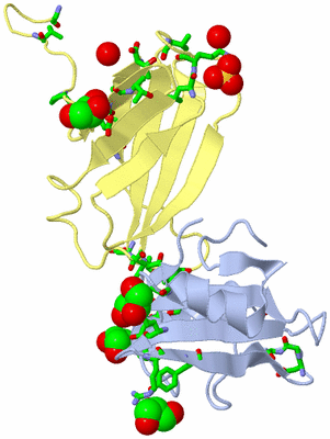 Image Biol. Unit 1 - sites